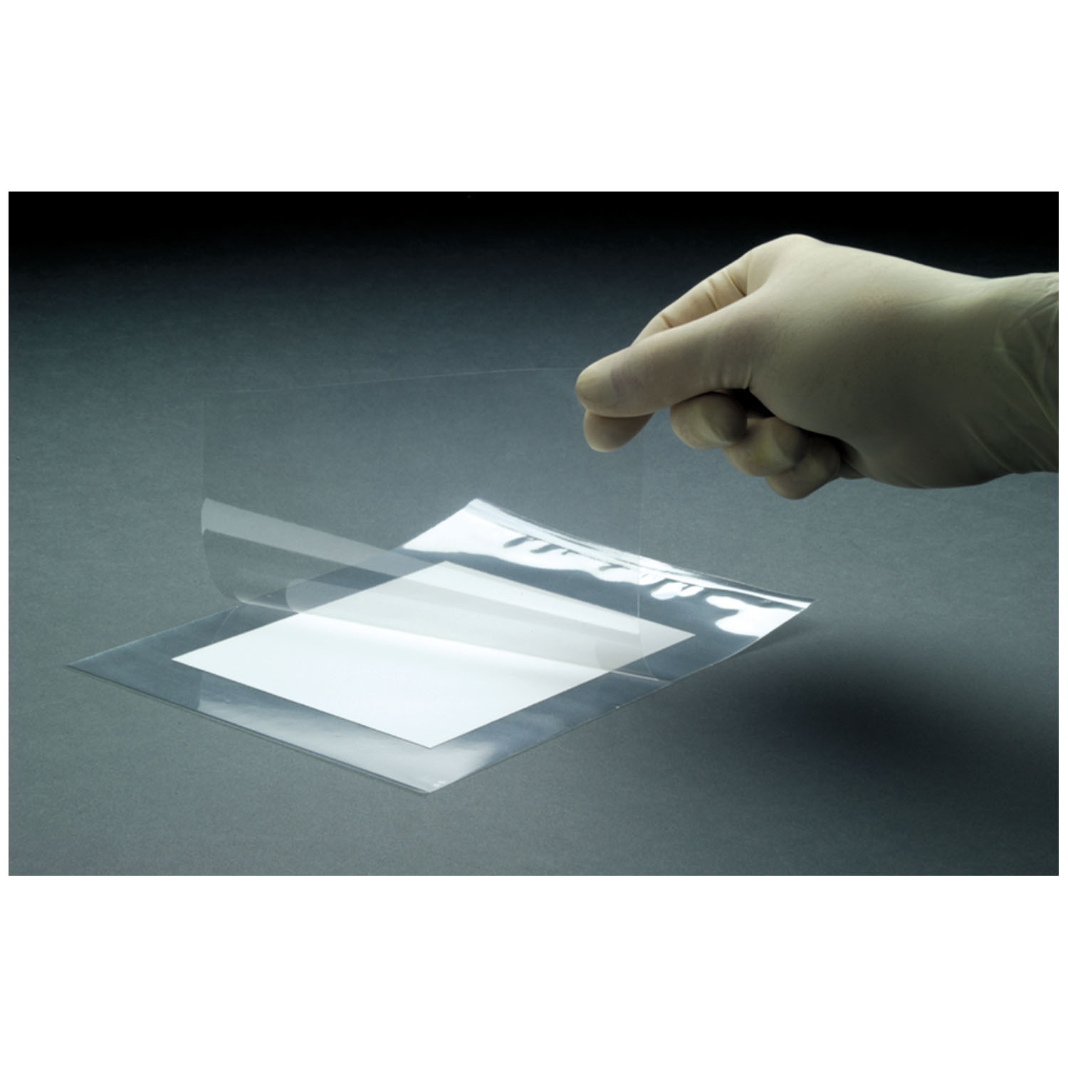 CYTIVA BLOTTING ACCESSORIES Reaction Folders, 8" x 10", 50/pk Cytiva 10483064