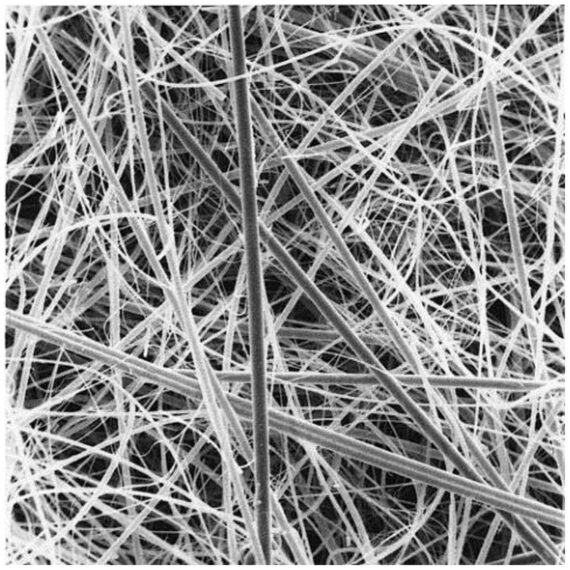 CYTIVA PALL A/D GLASS FILTER A/D Glass Fiber Filter, 8" x 10", 25/pk Cytiva 66227