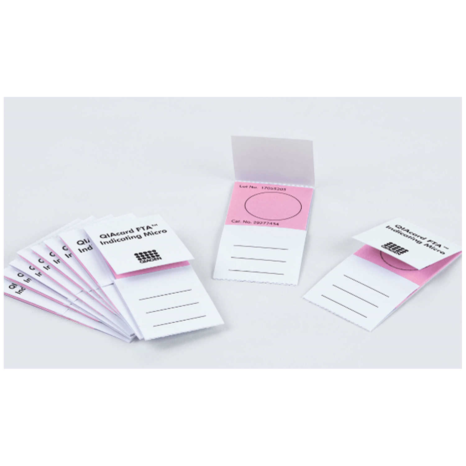 QIAGEN FTA NUCLEIC ACID COLLECTION Indicating FTA Micro Card, 125µl Sample Area, 125µl Total Volume, 100/pk (US Only) Qiagen, LLC WB120211