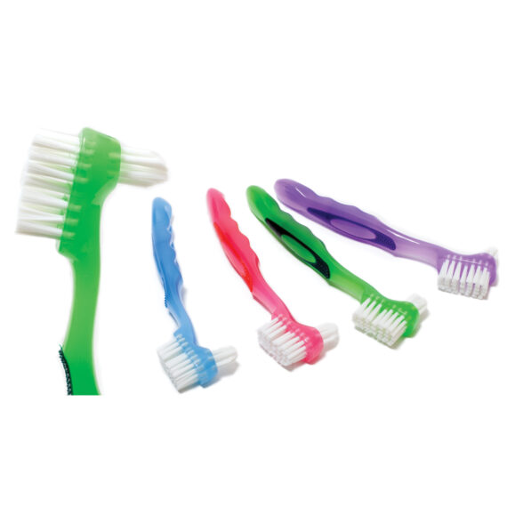 QUALA DENTURE BRUSH Denture Brush, 4 Assorted Colors (Blue/Green/Bright Pink/Bright Purple), 12/bx, 10 bx/cs (75 cs/plt) Quala Q90026