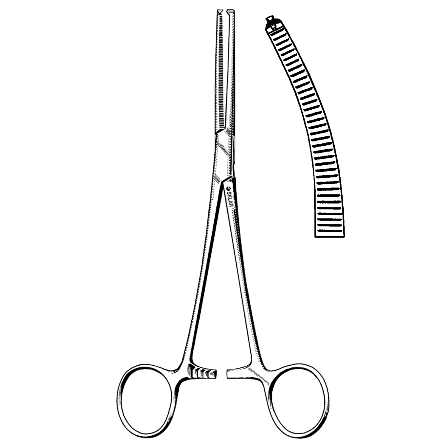 SKLAR REUSEABLE SURGICAL INSTRUMENTS Rochester-Ochsner Forcep, Curved, 8" (DROP SHIP ONLY) Sklar Instruments 17-2680