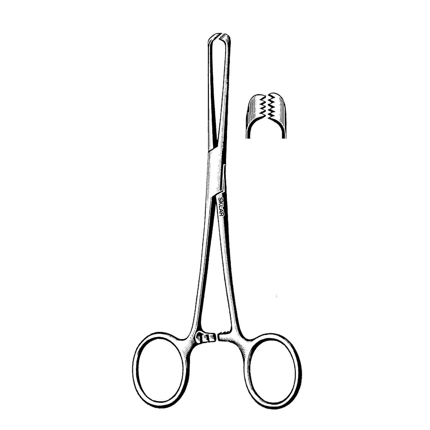 SKLAR REUSEABLE SURGICAL INSTRUMENTS Allis Tissue Forceps, Delicate, 5X6 Teeth, 9.5" (DROP SHIP ONLY) Sklar Instruments 36-2295