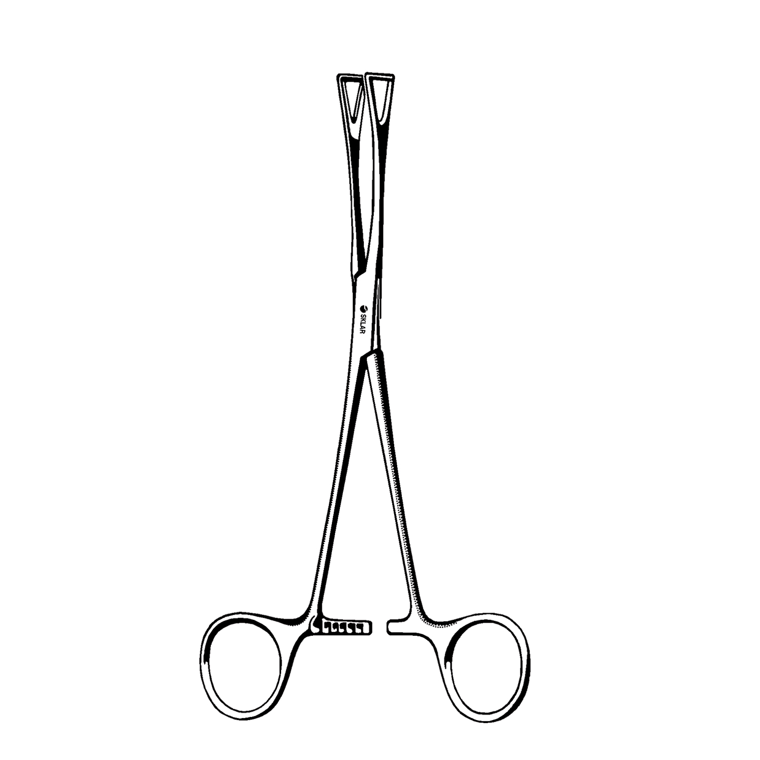 SKLAR REUSEABLE SURGICAL INSTRUMENTS Duval Lung Forceps, 1" Jaw  8" (DROP SHIP ONLY) Sklar Instruments 36-2577