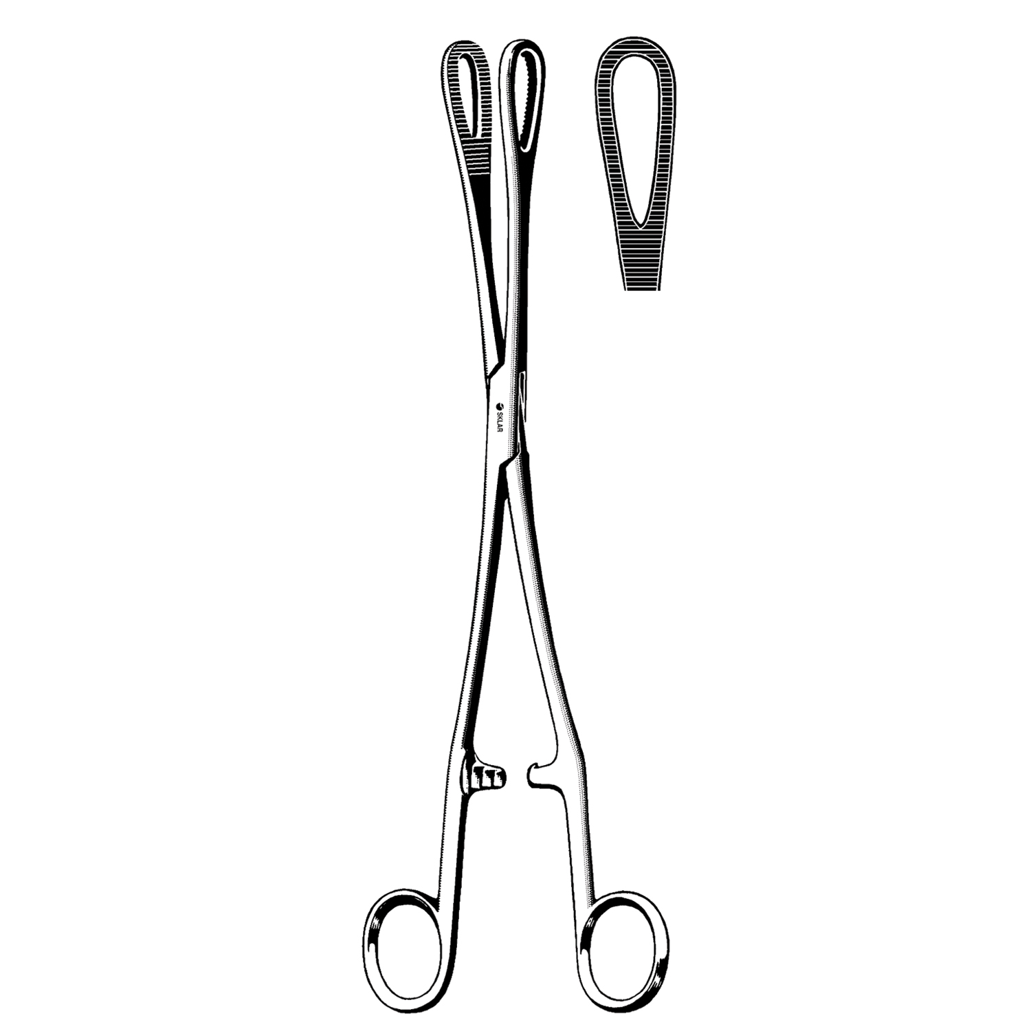 SKLAR REUSEABLE SURGICAL INSTRUMENTS Rampley Sponge Forceps, Straight, Serrated, 9.75" (DROP SHIP ONLY) Sklar Instruments 87-2240