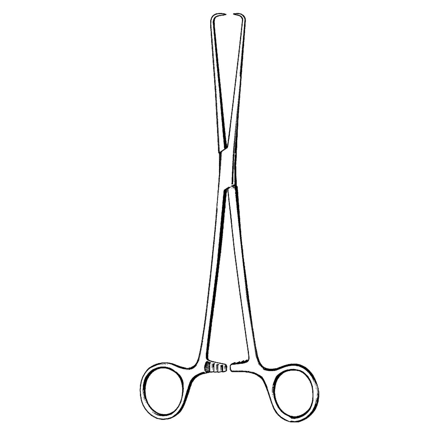 SKLAR REUSEABLE SURGICAL INSTRUMENTS Schroeder- Pozzi Tenaculum Forceps, 1x1 Prongs, 10" (DROP SHIP ONLY) Sklar Instruments 91-1298