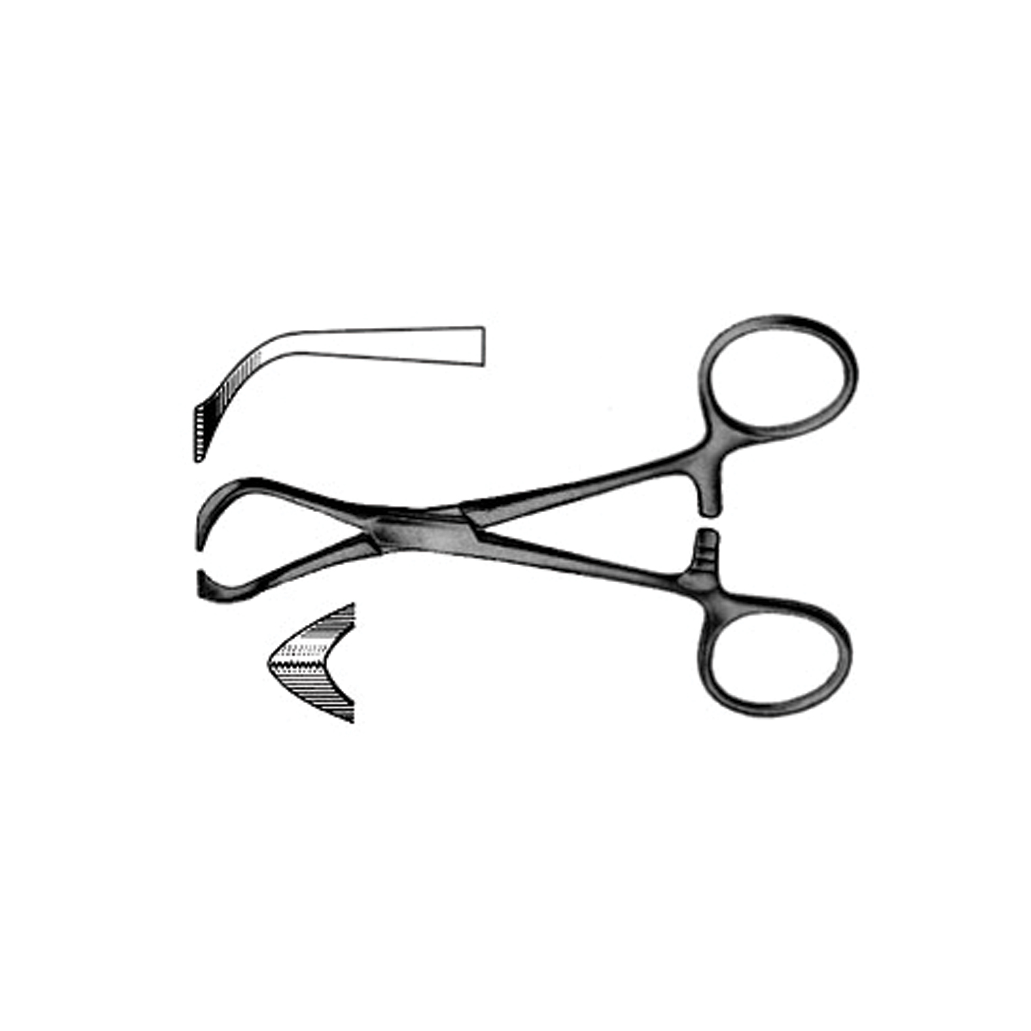 PMD OR GRADE LORNA (EDNA) NON-PERFORATING TOWEL FORCEPS Non-Perforating Towel Forceps , Length:  5¼" (13.3 Cm) Precision Medical Devices S1179-5714