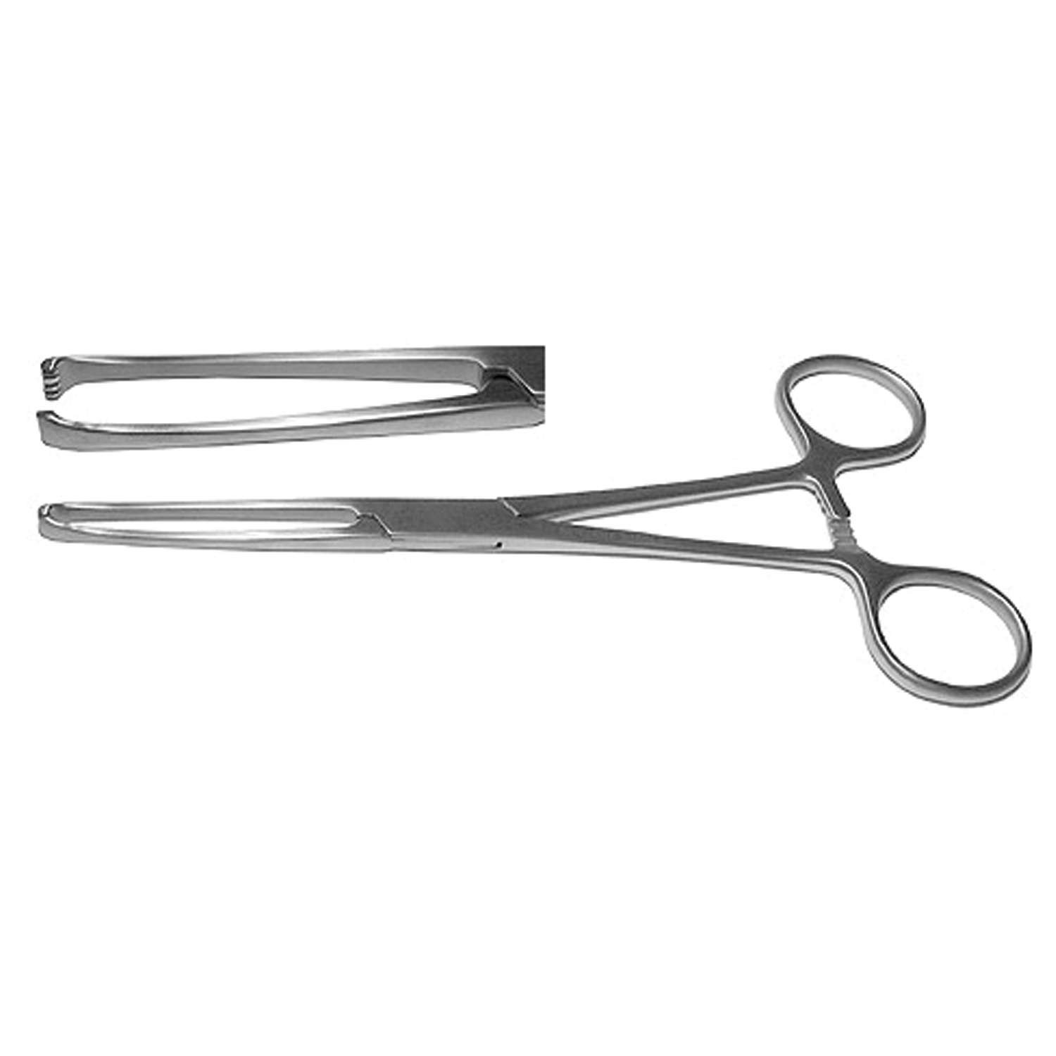 PMD OR GRADE ALLIS TISSUE FORCEPS Tissue Forceps, Standard Pattern, 5x6 Teeth, 6" (15.2 Cm) Precision Medical Devices S1509-0216